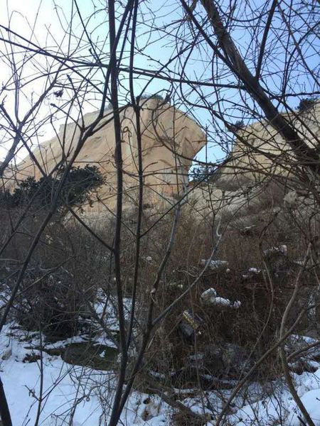 在發(fā)現(xiàn)朱賢峰遺體的位置，朱賢峰表哥王先生用手機朝上拍了一張照片。