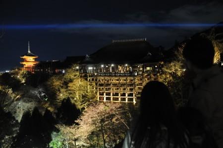 日本京都市的清水寺在春季夜間特別參觀正式開(kāi)始之前進(jìn)行試亮燈，剛剛開(kāi)放的櫻花與“清水舞臺(tái)”一同浮現(xiàn)在春天的夜色之中。