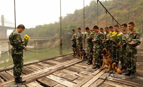 2016年3月29日，云南瑞麗，邊防大隊江橋警犬復訓基地的官兵在警犬墓群前，帶著警犬列隊，悼念特殊的“警犬戰(zhàn)友”，敬獻花環(huán)。脫帽、默哀、敬禮，簡單的儀式承載了官兵與警犬之間深厚的戰(zhàn)友情誼。11年來，這個基地先后有12頭警犬光榮地完成使命，葬在山頭。