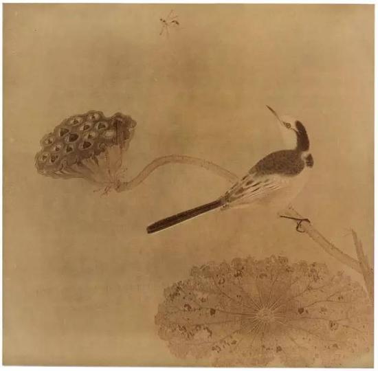 《疏荷沙鳥圖頁》 宋，絹本設色，縱25cm，橫25.6cm