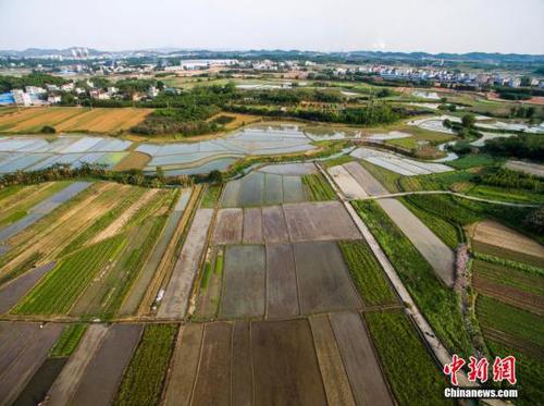 圖為航拍廣西柳州市柳北區(qū)沙塘鎮(zhèn)耕地，五彩繽紛。 黃威銘 攝