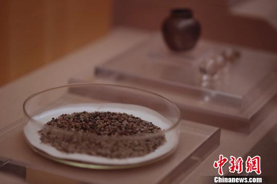 百余件“千年古港”文物精品在上海博物館展出