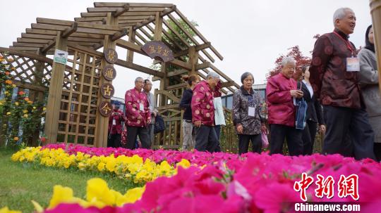 圖為出席揚(yáng)州市民日“百壽宴”的老人們游覽城市新貌?！〈藜衙?攝