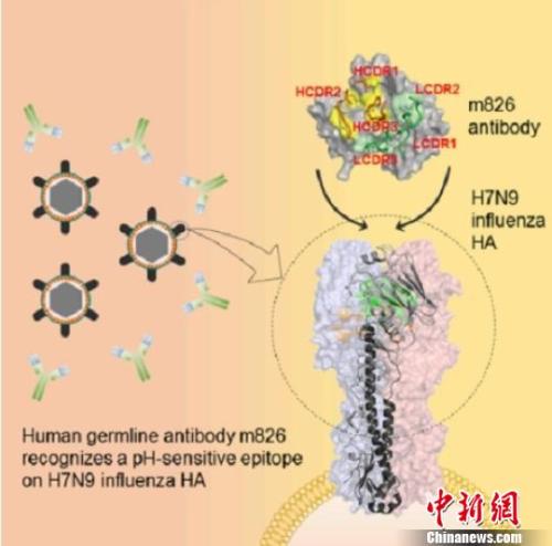 點擊進入下一頁