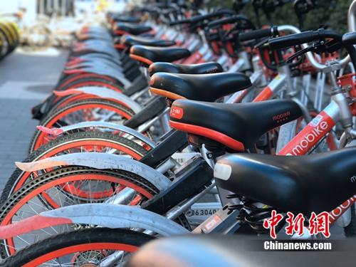 資料圖：清一色的摩拜單車。<a target='_blank' href='http://www.chinanews.com/' >中新網(wǎng)</a> 吳濤 攝