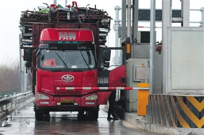 4月13日，京津高速臺湖收費站，一名大貨車司機從車上下來取高速卡。本版攝影/新京報記者 朱駿