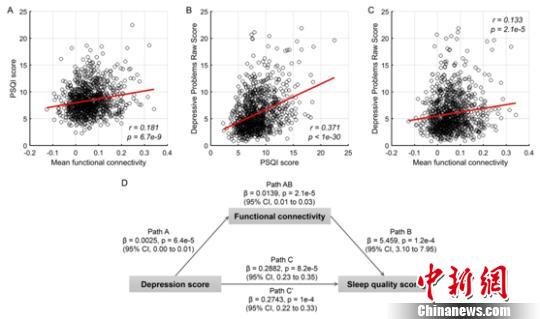國際合作團(tuán)隊(duì)揭示抑郁癥與睡眠問題之間的腦調(diào)控機(jī)制