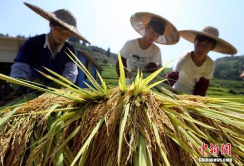 點擊進(jìn)入下一頁