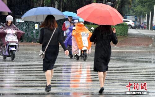 資料圖：2018年11月，福州市民在雨中出行。張斌 攝