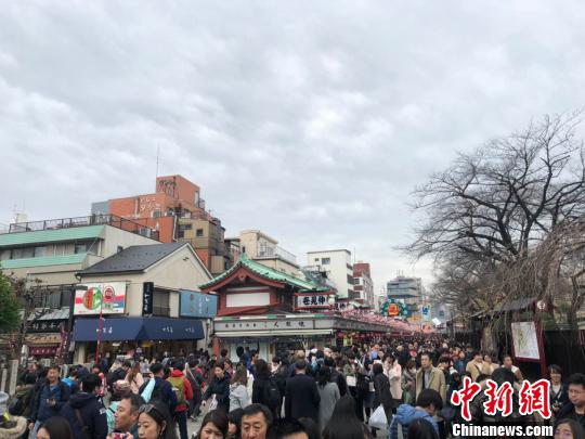 春季出境游升溫原產(chǎn)地“打卡”、“種太陽”之旅等受追捧