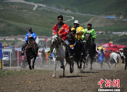 圖為來自甘、青、寧等地的選手參加抓喜秀龍鎮(zhèn)賽馬節(jié)。　崔琳 攝